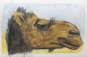 🎨 Camel (watercolour)